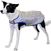 Chillybuddy Canine Cooling Jacket